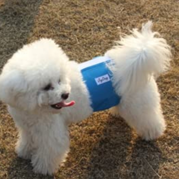 JoyDaog Purple Reusable Belly Bands for Male Dogs Diapers Male Washable Medium - Picture 4 of 8